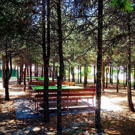 Studio Marina View Sveti Vlas Eksteriør bilde